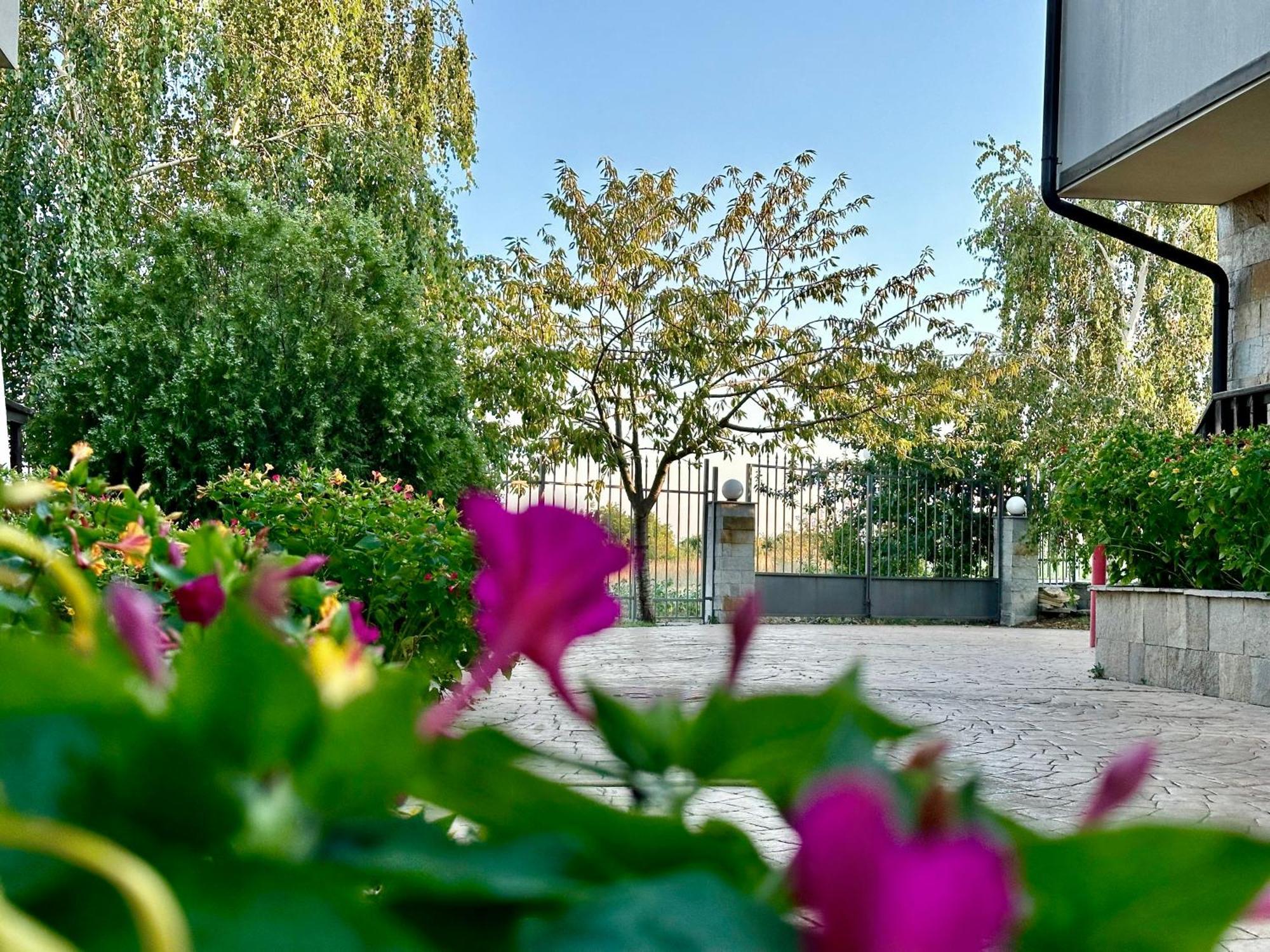 סאני ביץ' Menada Imperial Heights Villas מראה חיצוני תמונה