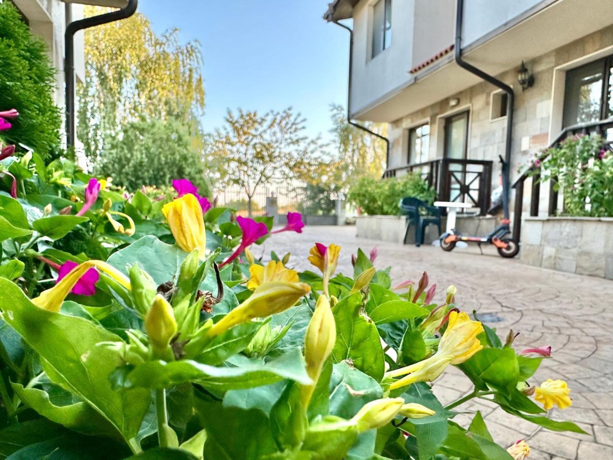 סאני ביץ' Menada Imperial Heights Villas מראה חיצוני תמונה