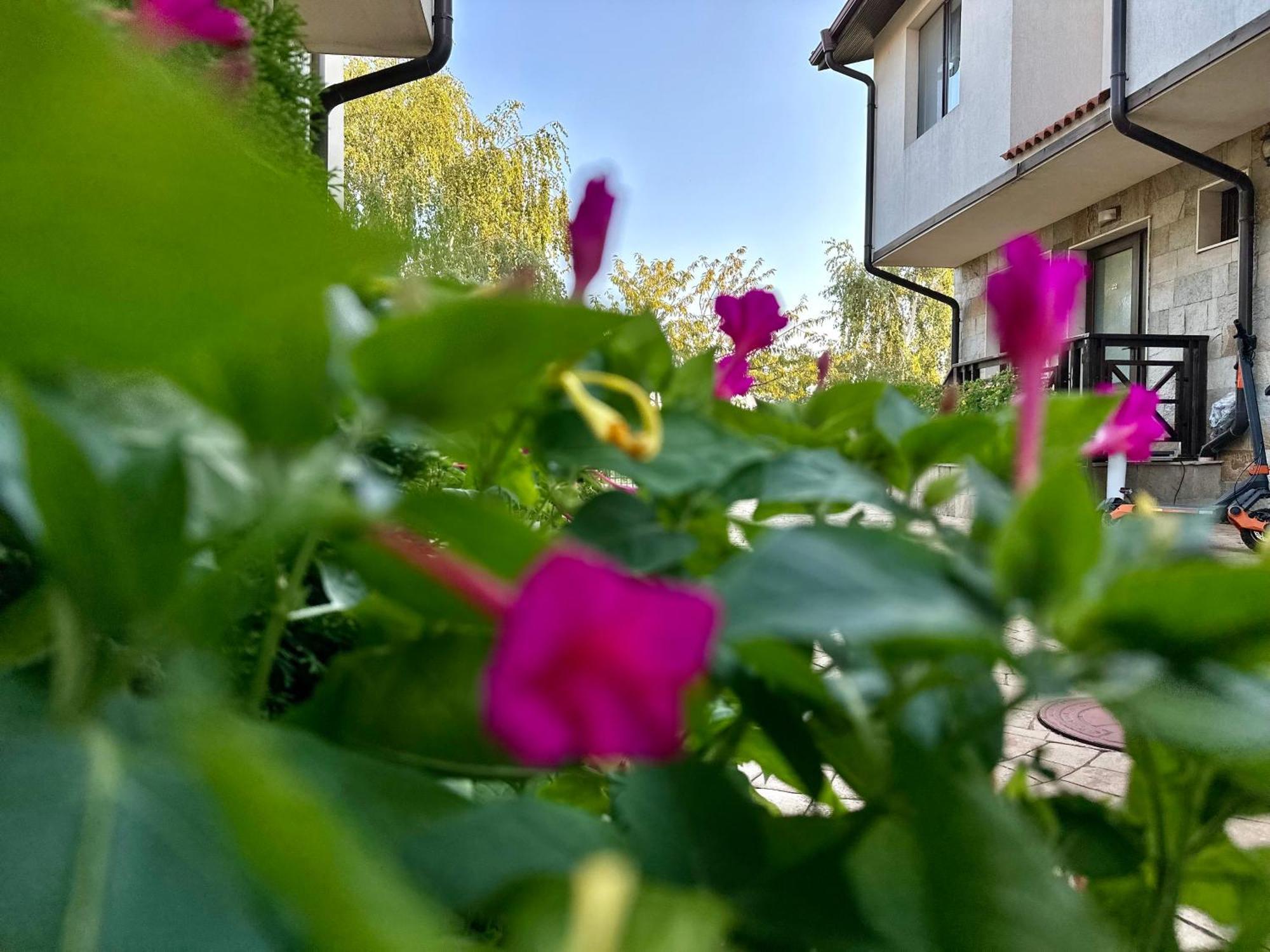סאני ביץ' Menada Imperial Heights Villas מראה חיצוני תמונה
